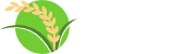 SeedsProducer
