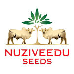 Nuziveedu Seeds Ltd